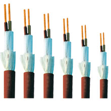 氟塑料绝缘和护套耐高温电缆